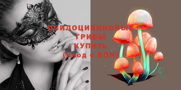 тгк Арсеньев
