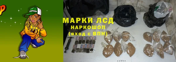 стаф Алексин