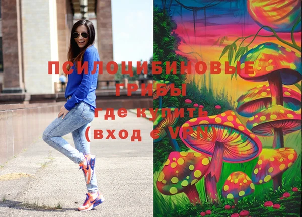 ПСИЛОЦИБИНОВЫЕ ГРИБЫ Алексеевка