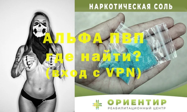 стаф Алексин