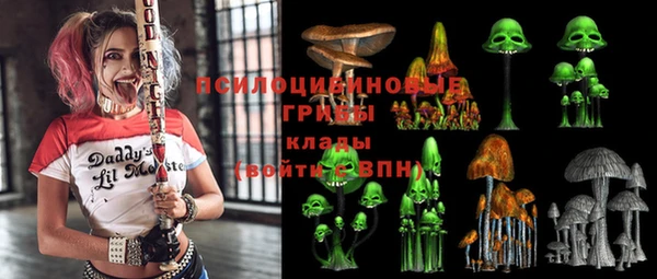 тгк Арсеньев