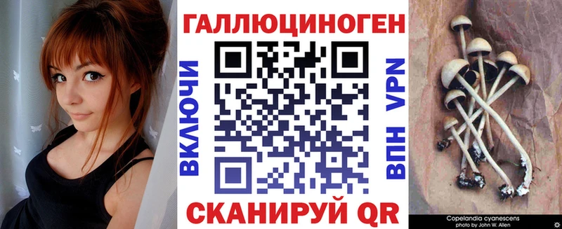Псилоцибиновые грибы GOLDEN TEACHER KRAKEN сайт Волгодонск